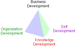 Enterprise Pyramid with just Cornerstones named